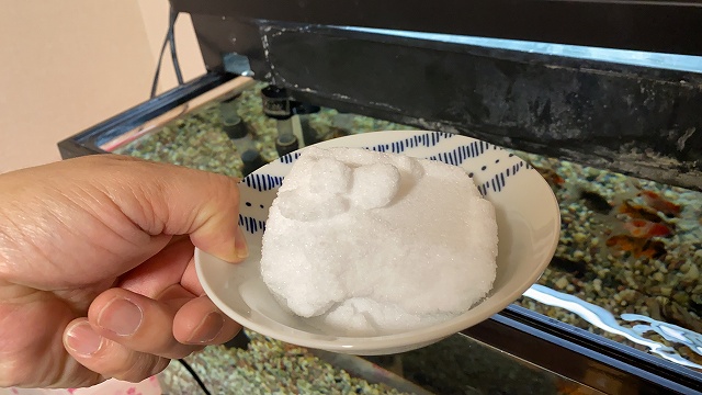 金魚の塩浴の作り方をわかりやすく解説 最初は塩の量にビビります きんぎょりうむ